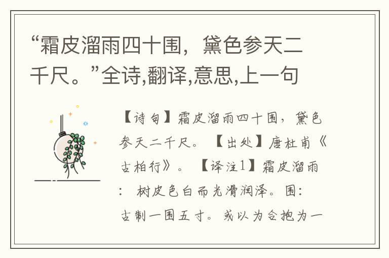 “霜皮溜雨四十围,黛色参天二千尺。”全诗,翻译,意思,上一句和下一句