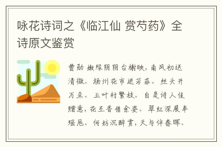  咏花诗词之《临江仙 赏芍药》全诗原文鉴赏