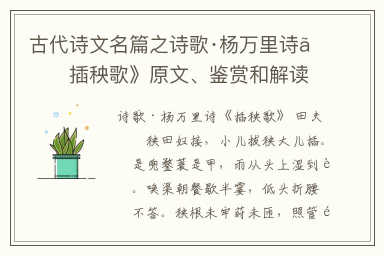  古代诗文名篇之诗歌·杨万里诗《插秧歌》原文、鉴赏和解读