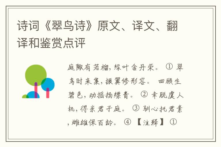  诗词《翠鸟诗》原文、译文、翻译和鉴赏点评