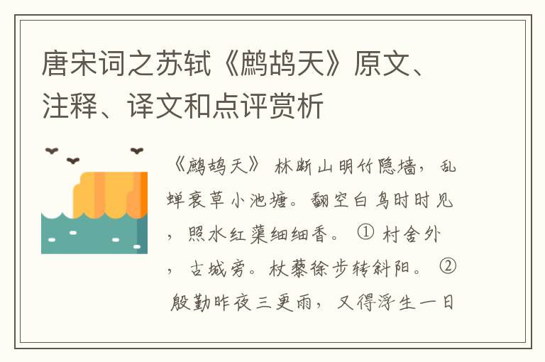  唐宋词之苏轼《鹧鸪天》原文、注释、译文和点评赏析