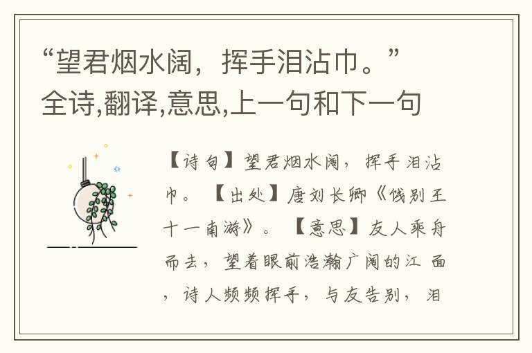  “望君烟水阔，挥手泪沾巾。”全诗,翻译,意思,上一句和下一句
