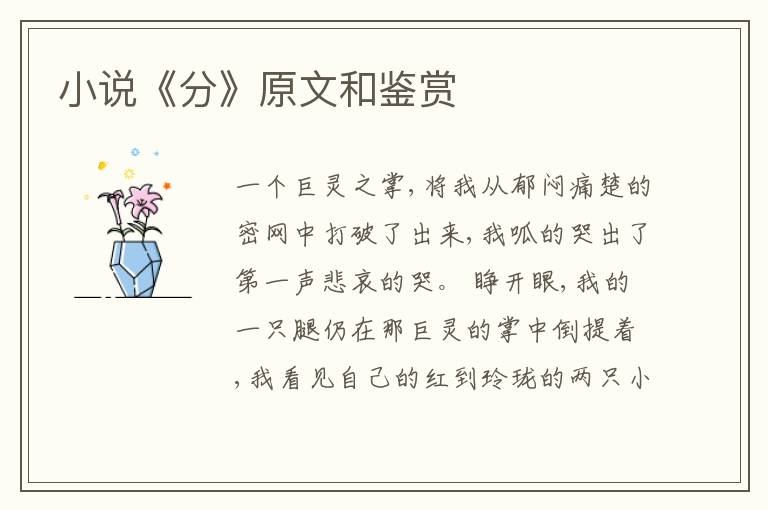  小说《分》原文和鉴赏