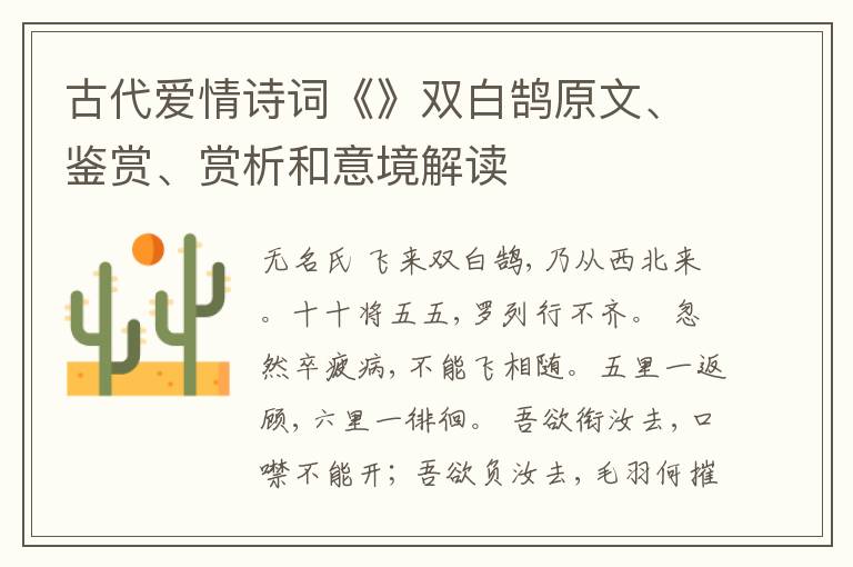  古代爱情诗词《》双白鹄原文、鉴赏、赏析和意境解读