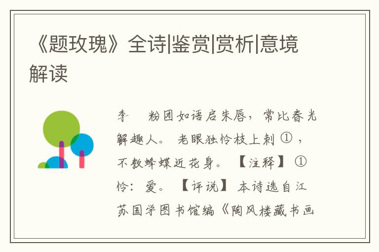  《题玫瑰》全诗|鉴赏|赏析|意境解读