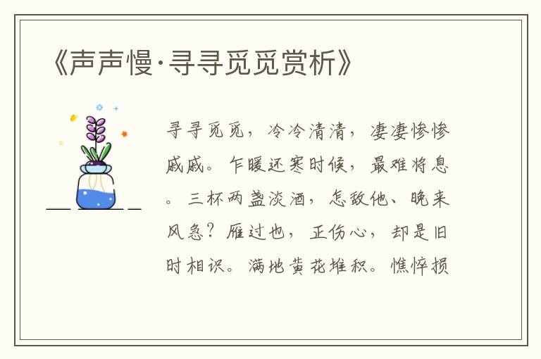  《声声慢·寻寻觅觅赏析》