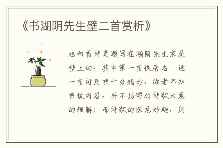  《书湖阴先生壁二首赏析》