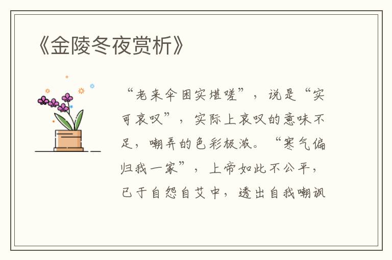  《金陵冬夜赏析》
