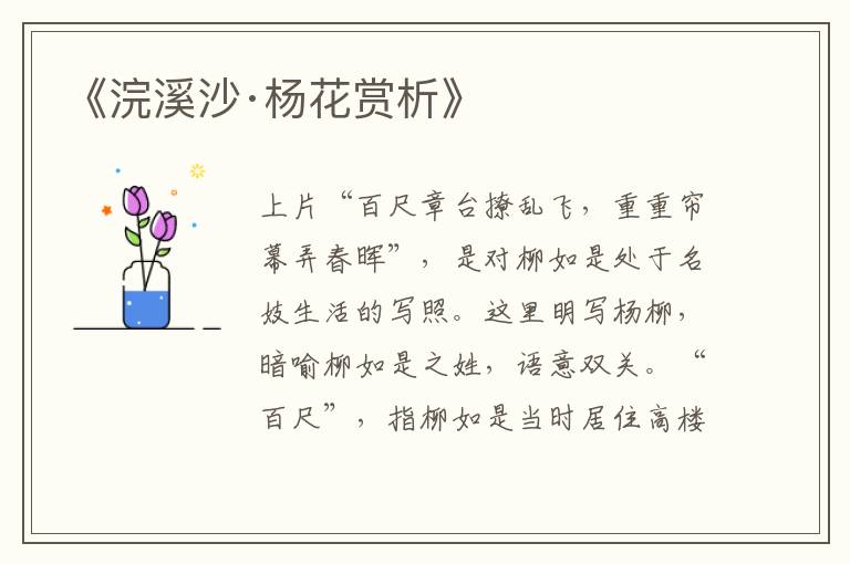  《浣溪沙·杨花赏析》