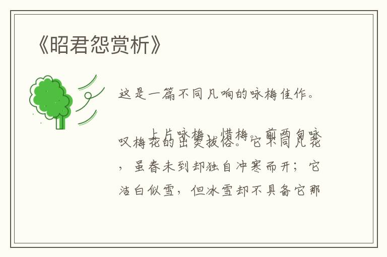  《昭君怨赏析》