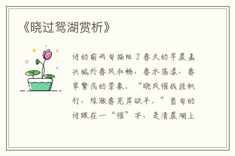  《晓过鸳湖赏析》