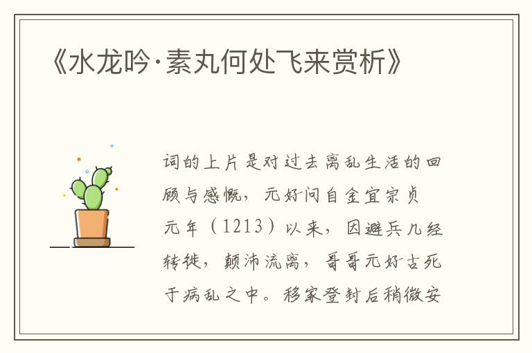  《水龙吟·素丸何处飞来赏析》