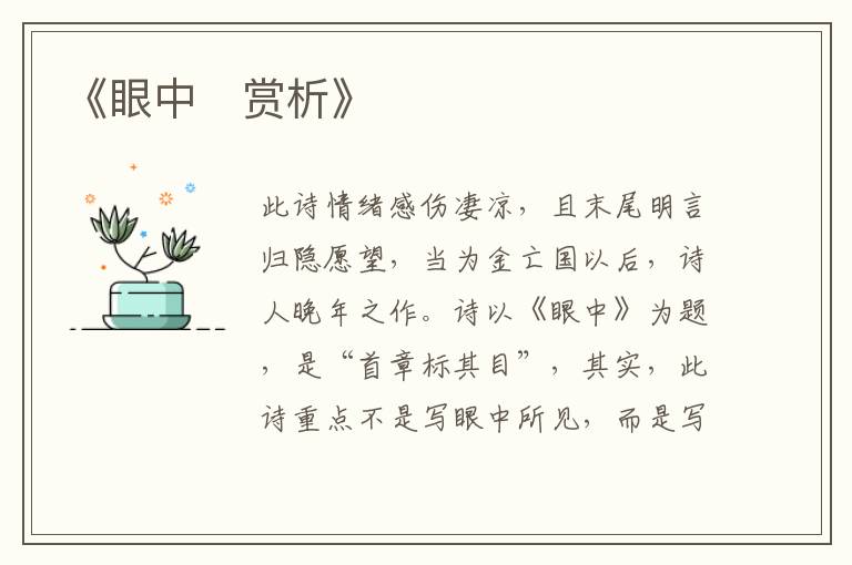  《眼中‌赏析》
