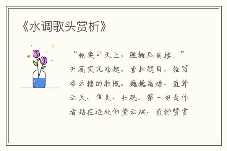  《水调歌头赏析》