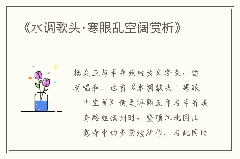  《水调歌头·寒眼乱空阔赏析》
