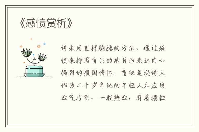  《感愤赏析》