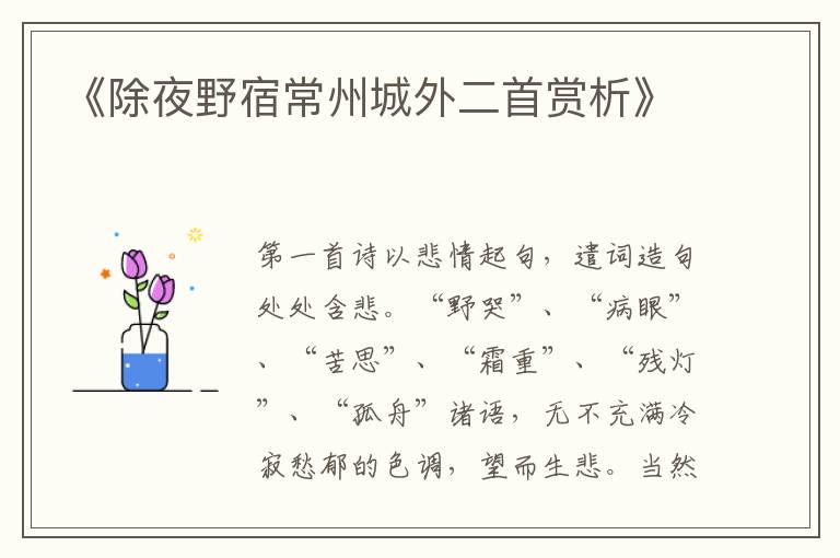  《除夜野宿常州城外二首赏析》