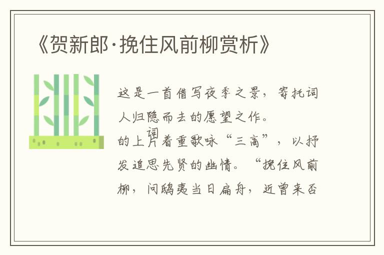  《贺新郎·挽住风前柳赏析》