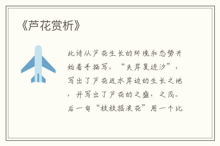  《芦花赏析》