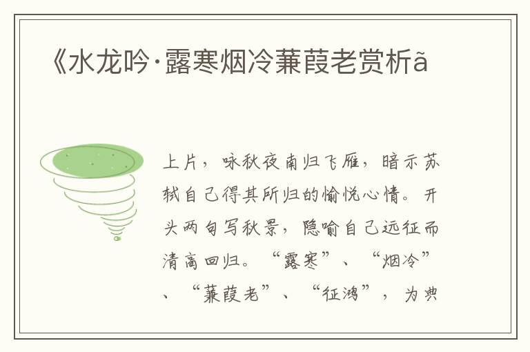  《水龙吟·露寒烟冷蒹葭老赏析》