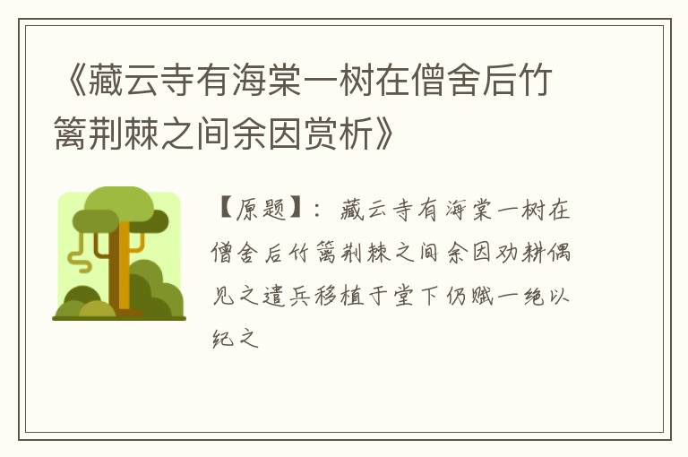  《藏云寺有海棠一树在僧舍后竹篱荆棘之间余因赏析》