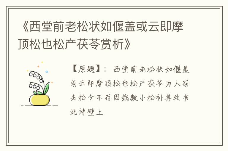  《西堂前老松状如偃盖或云即摩顶松也松产茯苓赏析》