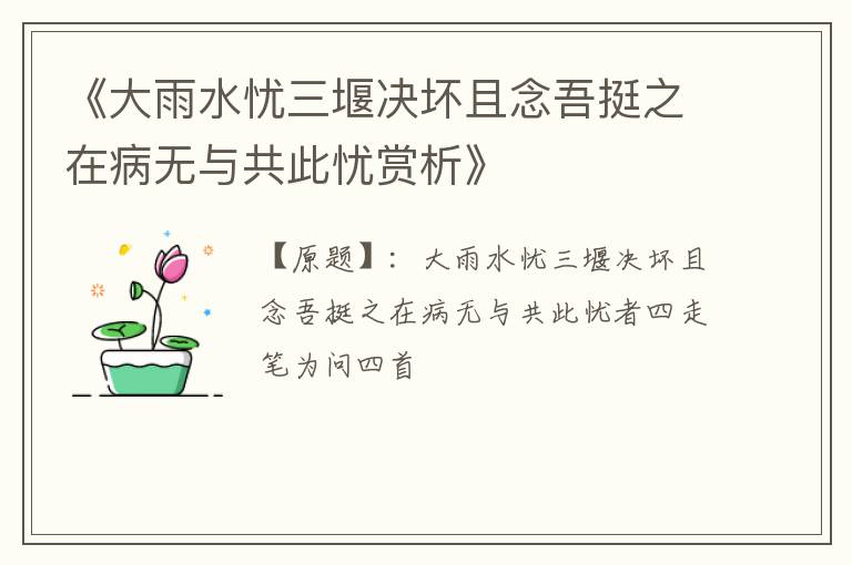 《大雨水忧三堰决坏且念吾挺之在病无与共此忧赏析》