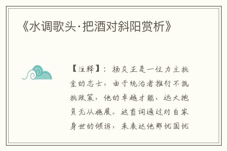 《水调歌头·把酒对斜阳赏析》