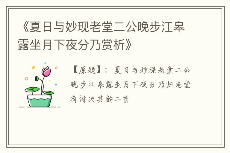  《夏日与妙现老堂二公晚步江皋露坐月下夜分乃赏析》
