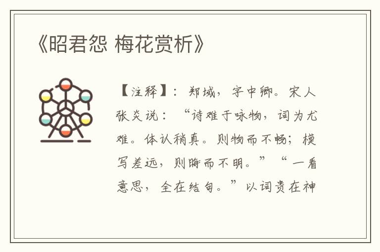  《昭君怨 梅花赏析》