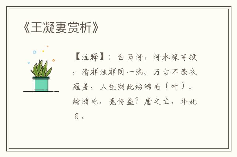  《王凝妻赏析》