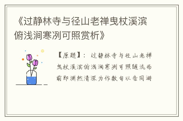  《过静林寺与径山老禅曳杖溪滨俯浅涧寒冽可照赏析》