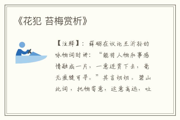 《花犯 苔梅赏析》