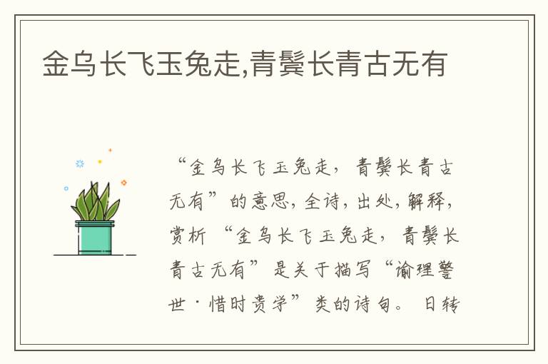  金乌长飞玉兔走,青鬓长青古无有