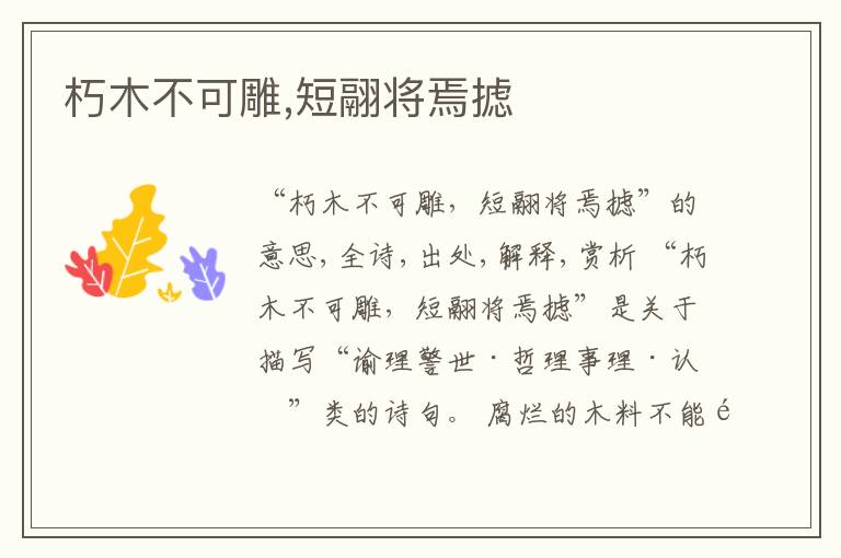  朽木不可雕,短翮将焉摅