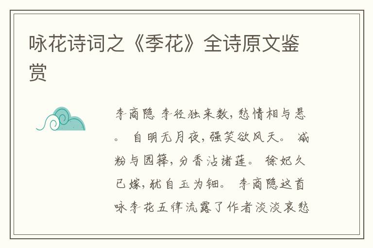  咏花诗词之《季花》全诗原文鉴赏