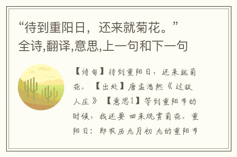 “待到重阳日,还来就菊花。”全诗,翻译,意思,上一句和下一句