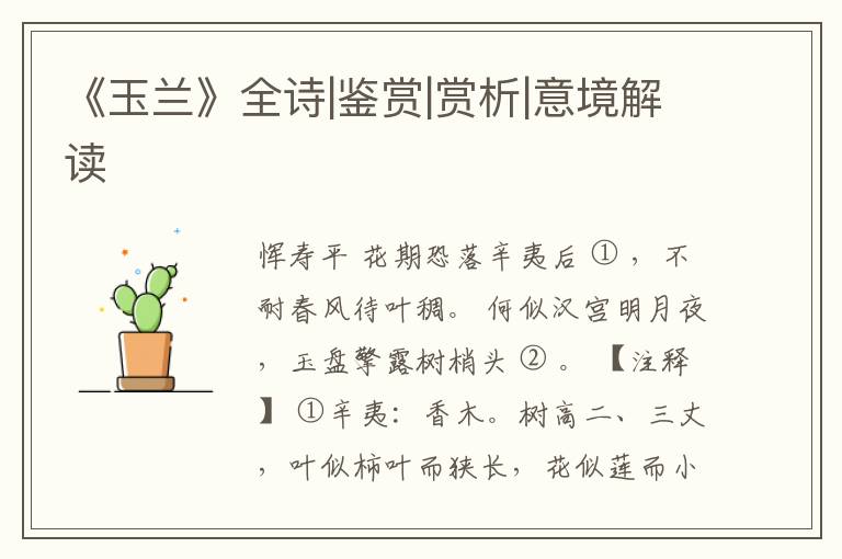  《玉兰》全诗|鉴赏|赏析|意境解读