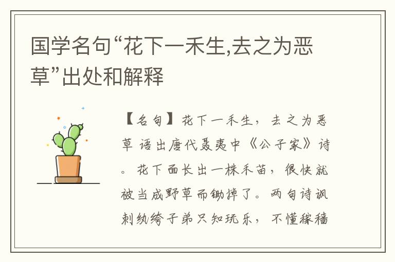  国学名句“花下一禾生,去之为恶草”出处和解释