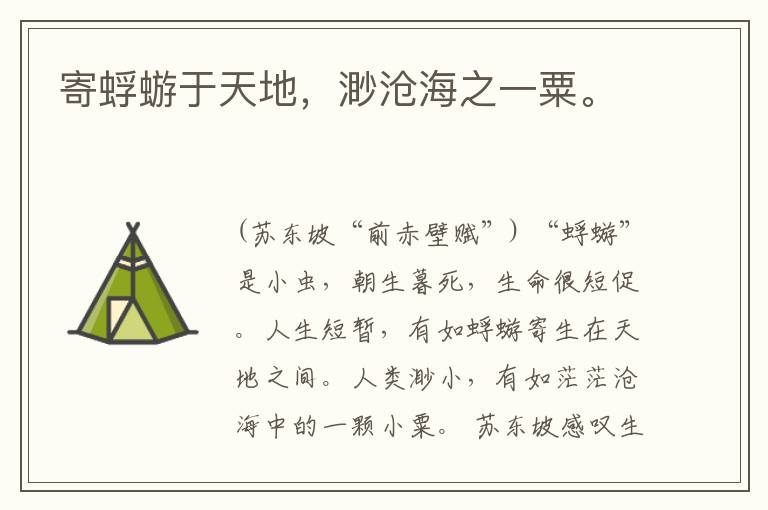  寄蜉蝣于天地，渺沧海之一粟。