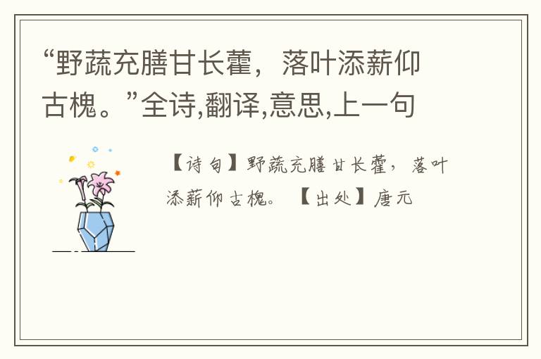 “野蔬充膳甘长藿,落叶添薪仰古槐。”全诗,翻译,意思,上一句和下一句