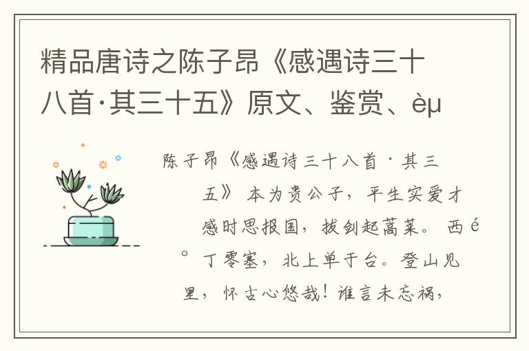  精品唐诗之陈子昂《感遇诗三十八首·其三十五》原文、鉴赏、赏析和意境解读