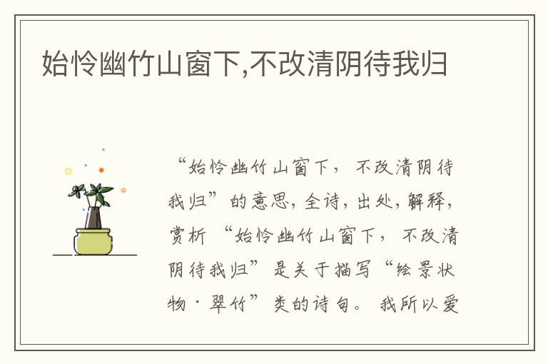  始怜幽竹山窗下,不改清阴待我归