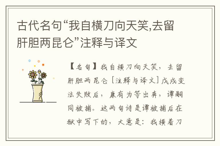  古代名句“我自横刀向天笑,去留肝胆两昆仑”注释与译文