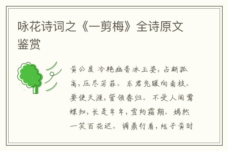  咏花诗词之《一剪梅》全诗原文鉴赏