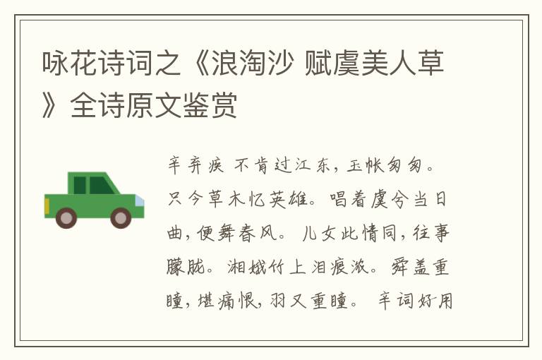  咏花诗词之《浪淘沙 赋虞美人草》全诗原文鉴赏