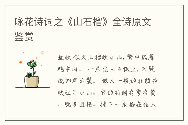  咏花诗词之《山石榴》全诗原文鉴赏