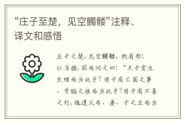  “庄子至楚，见空髑髅”注释、译文和感悟