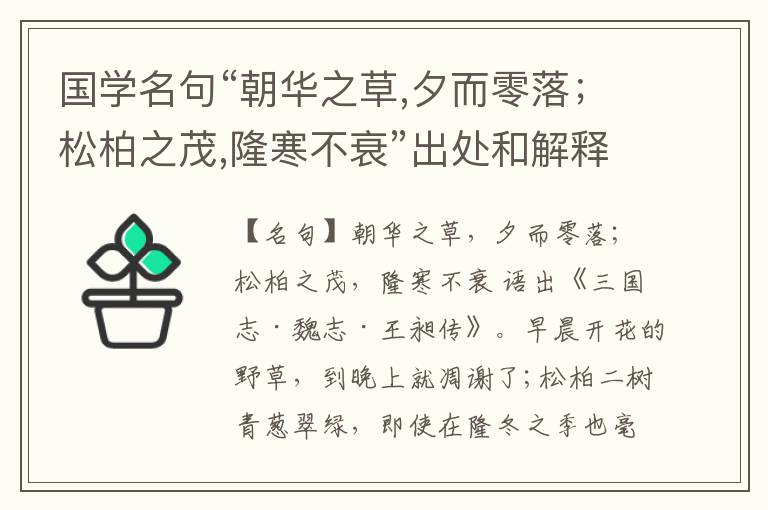  国学名句“朝华之草,夕而零落；松柏之茂,隆寒不衰”出处和解释