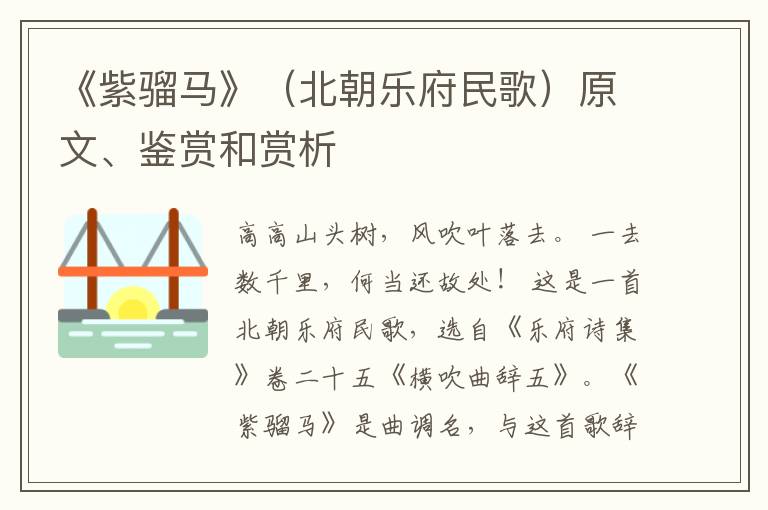  《紫骝马》（北朝乐府民歌）原文、鉴赏和赏析